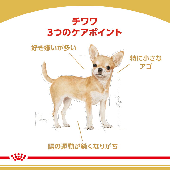 楽天市場】ロイヤルカナン 犬 BHN チワワ 中・高齢犬用 3kg ≪正規品 