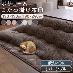 [ő400~OFFN[|ɂDAY]zc ` ` ȃXy[X 􂦂  |zc | 190×190 190×240   k o[Vu tl V[v{A 