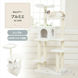 _SALEI10%OFF^Lbg^[ u gݗ LXNb`[ Lߋ ܂Ƃ |[ Mau^[ v~G ItzCg mt-006[2512SE]