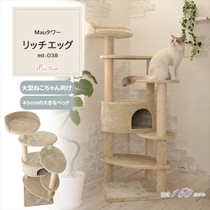 [z300|Cgl`X vGg[/Cɓ]Lbg^[ u gݗ LXNb`[ Lߋ ܂Ƃ |[ Mau^[ b`GbO x[W mt-038