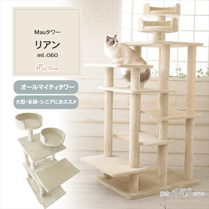 _SALEI10%OFF^Lbg^[ u gݗ LXNb`[ Lߋ ܂Ƃ |[ Mau^[ A x[W mt-060[2512SE]