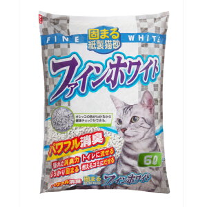 yő400~OFFN[|I炵Ɂ{zIVbR̐F킩鎆L t@CzCg 6L FW-6Lbg L L gC q  L  ł܂ R 헤H 