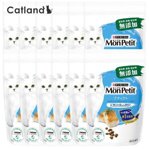 y20`N[|zzHI20-26zy12ZbgzhCt[h i` v` hCobO L Lbgt[h hC FY VRȂґ 500g  ۑ