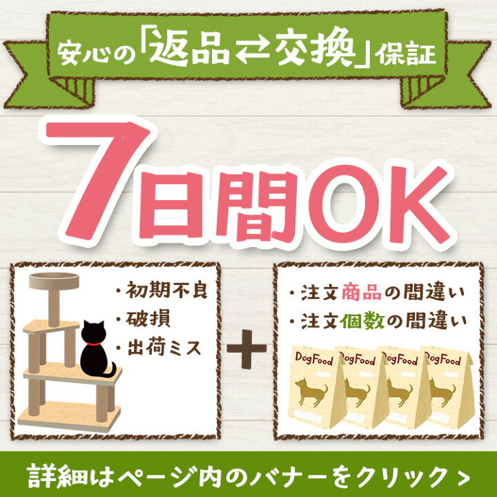 瀬戸焼 にゃん楽食器 ごはん (AA)