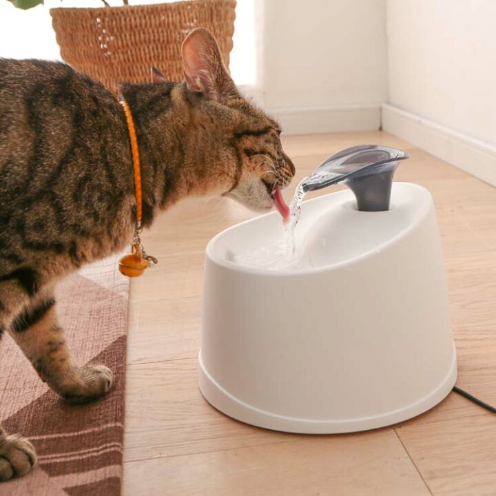 楽天市場】【☆5%OFFクーポン!31日14:59迄】自動給水器 猫 犬 水飲み器 ペット 自動 給水器 PWF-200 アイリスオーヤマ 自動水やり器 自動水やり機 水飲み器 みずのみ器 猫 水 ペット給水器 ペット自動給水器 活性炭フィルター 猫用 犬用 おしゃれ 自動補水 水洗い ... 楽天市場】【☆5%OFFクーポン!31日14:59迄】自動給水器 猫 犬 水飲み器 ペット 自動 給水器 PWF-200 アイリスオーヤマ 自動水やり器 自動水やり機 水飲み器 みずのみ器 猫 水 ペット給水器 ペット自動給水器 活性炭フィルター 猫用 犬用 おしゃれ 自動補水 水洗い ...