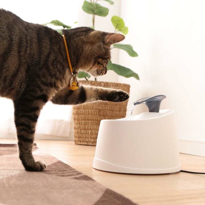 楽天市場】【☆5%OFFクーポン!31日14:59迄】自動給水器 猫 犬 水飲み器 ペット 自動 給水器 PWF-200 アイリスオーヤマ 自動水やり器 自動水やり機 水飲み器 みずのみ器 猫 水 ペット給水器 ペット自動給水器 活性炭フィルター 猫用 犬用 おしゃれ 自動補水 水洗い ... 楽天市場】【☆5%OFFクーポン!31日14:59迄】自動給水器 猫 犬 水飲み器 ペット 自動 給水器 PWF-200 アイリスオーヤマ 自動水やり器 自動水やり機 水飲み器 みずのみ器 猫 水 ペット給水器 ペット自動給水器 活性炭フィルター 猫用 犬用 おしゃれ 自動補水 水洗い ...