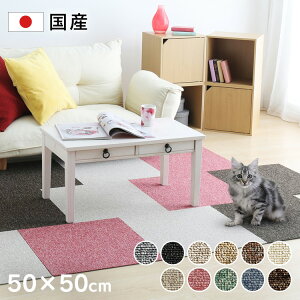 y20`N[|zzHI20-26zyꖇPʂŔ̔z^CJ[ybg ybg ~ h h ^CJ[ybg 50×50cm ybg}bg ybg J[ybg h΍ t[O 