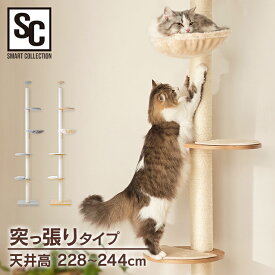 【10%OFFクーポン★18日20時〜27日10時】キャットタワー 突っ張り 爪とぎ スリム 省スペース つっぱり 猫タワー 木登り ポール KCCT‐244 突っ張り 猫タワー おしゃれ インテリア キャットポール 猫ツリー 木製 省スペース 多頭飼い【AR対象】