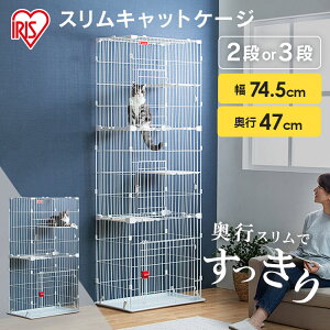 [5̕t̓Gg[J[hpP4{]L P[W 2i 3i ^ L Q[W X LP[W PSCC-752 PSCC-753 i  XLbgP[W2i ACXI[} RpNg 