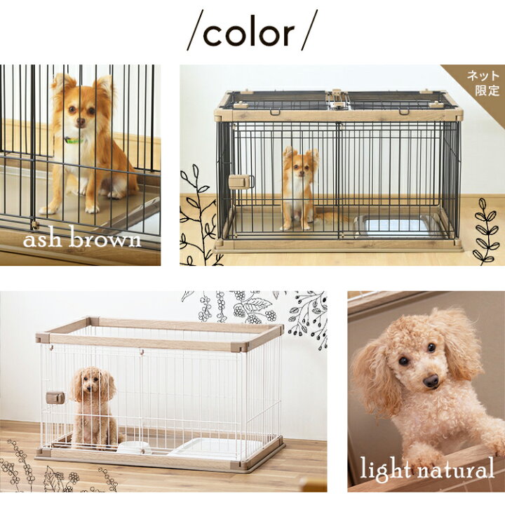 楽天市場】＼ワンにゃんDAY！最大350円OFFクーポン／犬 ケージ  