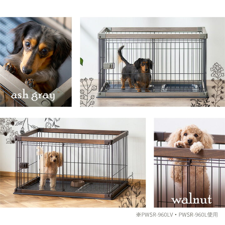 楽天市場】＼ワンにゃんDAY！最大350円OFFクーポン／犬 ケージ  