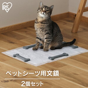 [2̓Lbghf[!!]L ybgV[c Yh~ ybgpi h~ Œ ׂ~ ~  gCV[g ybgV[g   d   d d ybgp  