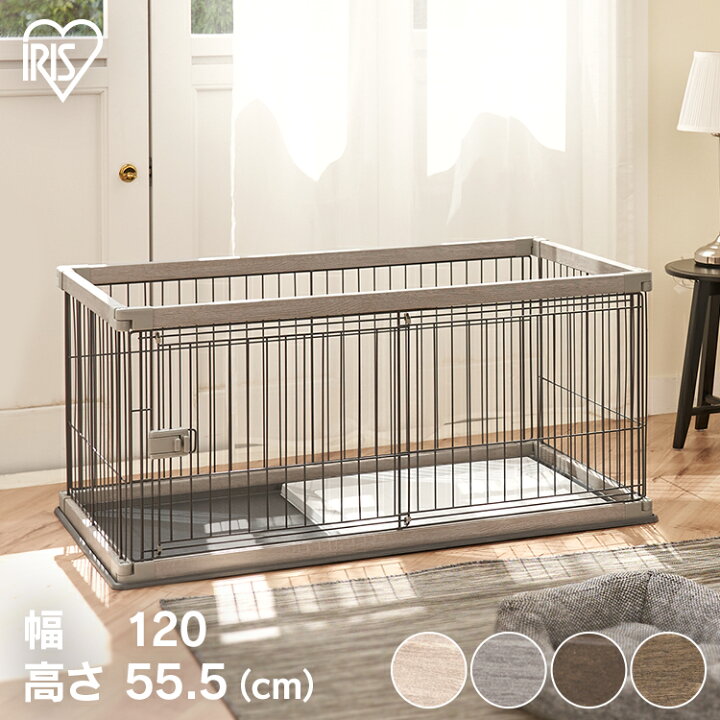 楽天市場】＼ワンにゃんDAY！最大350円OFFクーポン／犬 ペット 