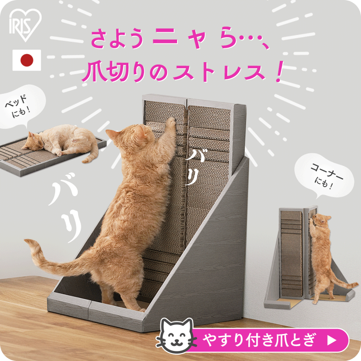 爪が削れる爪とぎボード」を開発した合同会社NeCoNe（ネコネ