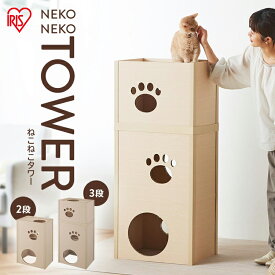 猫 おもちゃ キャットタワー 低め 段ボール ねこねこタワー アイリスオーヤマ 2段 3段 P-NT2 P-NT3 キャットタワー おしゃれ 木目調 段ボール 段ボールハウス キャットハウス かわいい 猫 ネコ ハニカム構造 強化段ボール