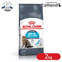 【セットはさらにお得！】ロイヤルカナン 猫 ユリナリー 成猫用 ケア2kg まとめ買い アダルト 尿路結石 下部尿路 キャットフード ドライフード カリカリ プレミアムフード ロイカナ ROYAL CANIN [3182550842938]【rccf31】