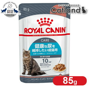 [ő400~ItN[||vO擾]yZbg͂ɂIzCJi L FHN EFbg i[PA 85g NȔAێLp AH Lbgt[h EFbgt[h pE