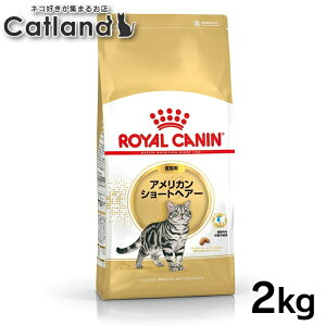 yZbg͂ɂIzCJi L AJV[gwA[ Lp2Zbg 2kg 4kg(2kg×2) Ki Lp Lbgt[h hC JJ A_g 12ȏ 12΂܂ v~A