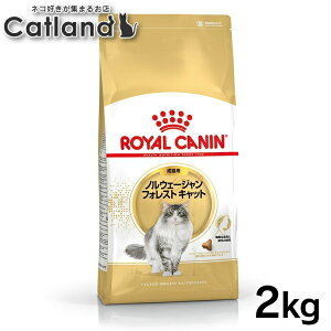 yZbg͂ɂIzCJi L mEF[WtHXgLbg Lp 2Zbg 2kg 4kg (2kg×2) Ki Lp Lbgt[h hC JJ A_g L 12ȏ 1