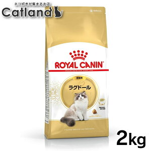 [ő400~ItN[|ɂDAY]yZbg͂ɂIzCJi L Oh[ Lp 2kg 2kg 4kg (2kg×2) Ki Lp Lbgt[h hC JJ A_g L 12