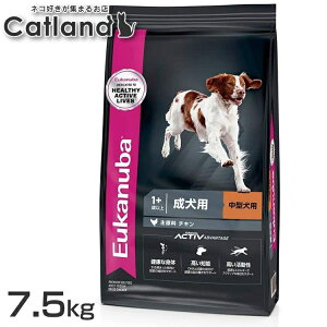 yő400~OFFN[|I炵Ɂ{z[Jko ~fBA A_g 7.5kg  [Jko hbOt[h A_g ^ ~fBA [Jko