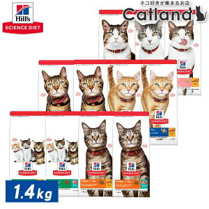 [ő400~OFFN[|ɂDAY]qY TCGX_CGbg qL L L `L ܂ L