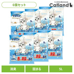 [ő400~ItN[||vO擾]y6ZbgzLgCpi L ^Cv fITh ŏL鎆 i`\|v̍ 5LL L  uԏL ł܂ j`[ \[v 