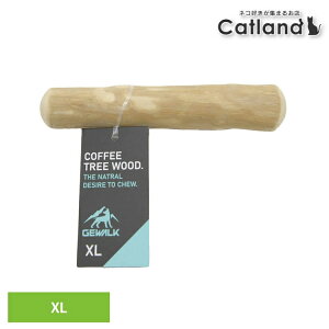 [z300|Cgl`X vGg[/Cɓ]p  VR LGE202 GW hbO `E XeBbN R[q[ c[ XL Jx[W p  VR  