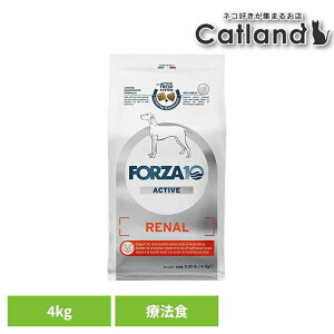 [z300|Cgl`X vGg[/Cɓ]Forza10 i[ANeBu ~fBA 4kg Ö@H i`  AM[ t  A  tsS ^pN  yBz