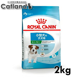 [ő400~OFFN[|ɂDAY]yZbg͂ɂIzCJi ~j ps[ 2kg Ki p hbOt[h hC q e c q ^ 10܂ SHN TCY v