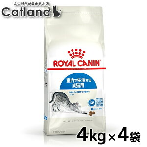 CJi v~At[h hC hCt[h L Ő鐬Lp  L Lt[h ChALbg Lbgt[h 4kg FHN 4܃Zbg ܂Ƃߔ ChALbg