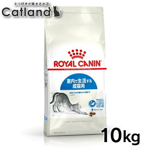 [ő400~ItN[||vO擾]CJi ChA v~At[h hC hCt[h L Ő鐬Lp  L Lt[h ChALbg Lbgt[h 1