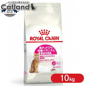 [ő400~OFFN[|ɂDAY]CJi L FHN veC GNVWFg 10kg ᐳKi ( GNVWFg42) Hɂ肪Lp ^pN Lbgt[h v~A