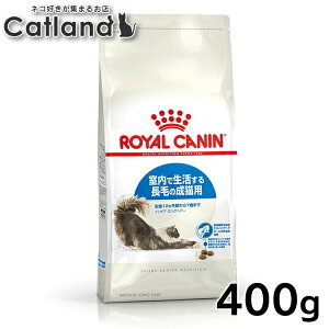 [yVX[p[SALE20`N[|zzHI] CJi L FHN ChA OwA[ 400g ᐳKi Ő钷т̐Lp LbgChA ChALbg hCt[