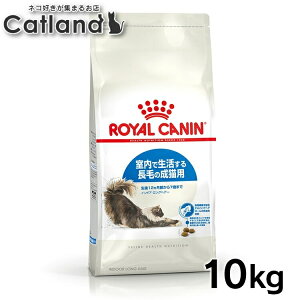 [yVX[p[SALE20`N[|zzHI] CJi L ChA OwA[ Ő钷т̐Lp 10kg SLp 12J`7΂܂ FHN Lbgt[h L hCt