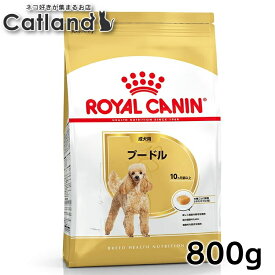 ロイヤルカナン 犬 BHN プードル 成犬用 800g ≪正規品≫ 生後10ヵ月齢以上 アダルト 犬 フード ドライ プレミアムフード ROYAL CANIN 楽天 [3182550788144]【rcdb13】