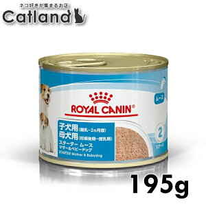 [ő400~ItN[||炵Ɂ{]CJi  CHN EFbg X^[^[[X }U[xr[hbO 195g ᐳKi ̕ωɕqȎq e ʋl EFbgt[h CHN-WET v~