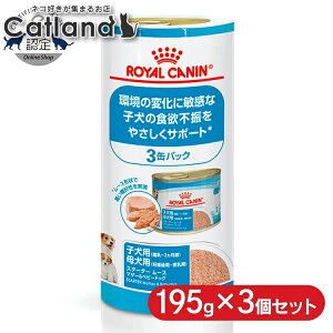 [z300|Cgl`X vGg[/Cɓ]CJi  CHN EFbg X^[^[[X }U[xr[hbO 195g×3ʃpbN ᐳKi ̕ωɕqȎq 