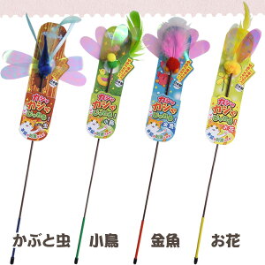 [ő400~N[|ɂDAY]JVJV ԂԂƒ ybc[g L  L炵 ˂炵 lR ߋ Ⴉ т LbggC ꏏ