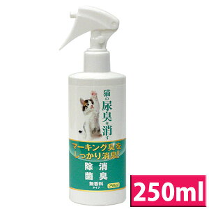 [ő400~N[|ɂDAY]j`hE L̔ALL 250ml ybg L LXv[ ybgp L  ͏L gC̃jIC IVbR }[LO jIC L ɂ gC 