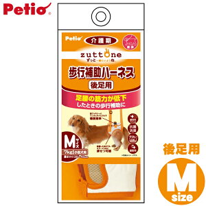 _SALEI12%OFF^yeBIiPetioj Vp s⏕n[lX 㑫pK MTCY[TP]yTCz[2512SE]