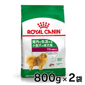 y20`N[|zzHI20-26zyZbg͂ɂIzCJi ~j ChA A_g 800gKi LHN  hbOt[h hC   ^ ^s ~jChA y