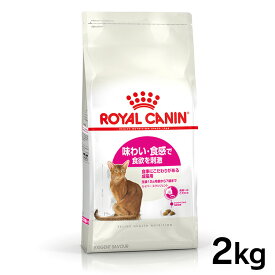 ロイヤルカナン 猫 FHN セイバー エクシジェント 2kg ≪正規品≫ (旧 エクシジェント 35/30) 猫用フード キャットフード プレミアムフード ドライ ROYAL CANIN[3182550717137]【D】【rccf12】