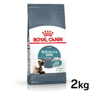 y20`N[|zzHI20-26zCJi L Lbg wA{[ PA 2kg 4kg (2kg×4) 12kg (2kg×6) Ki Lp Lbgt[h hC JJ A_g L 12ȏ wA