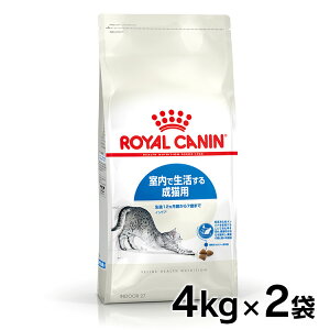 y5%ItN[|zyZbg͂ɂIzCJi L v~At[h hC hCt[h L Ő鐬Lp  L ChALbg Lbgt[h 4kg FH