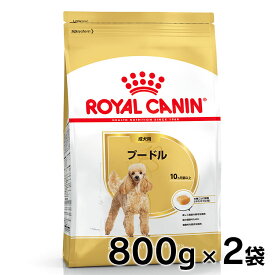 ★6/5限定！抽選で最大100％ポイントバック★ロイヤルカナン 犬 BHN プードル 成犬用 800g×2個セット ≪正規品≫ 生後10ヵ月齢以上 アダルト 犬 フード ドライ プレミアムフード ROYAL CANIN 楽天 [3182550788144]【D】【rcdb13】