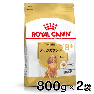 yZbg͂ɂIzCJi _bNXth 8+ Ep 800g Ki hbOt[h hC V VjA 8Έȏ _bNXtg ^ BHN  v~At[h CJ