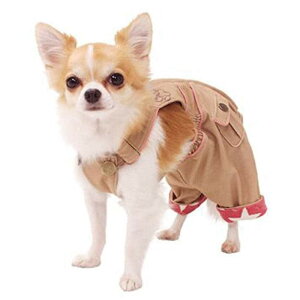 ނJo[ OCV|SS SSTCY