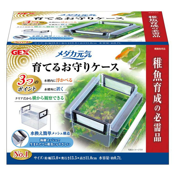 楽天市場】アクアリウム メダカ 飼育 産卵 元気 育てるお守りケース 