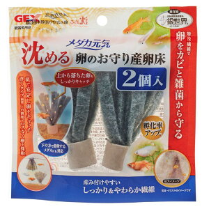 [XőP8{_tf[]ANAE _J  Y C ̂菰߂ 2 @  琬 WFbNX ߂ Yݕt₷ 炩@ GEX